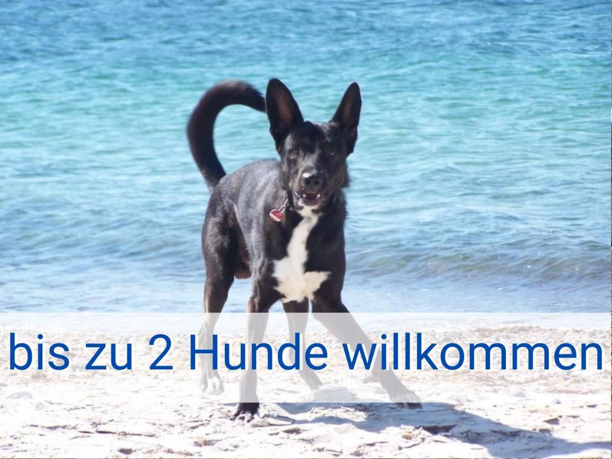 Boeltser Hus Ferienwohnungen Mit Strandkorb Und Kamin 10 Gehminuten Zum Kurtaxefreien Sandstrand Kraksdorf Екстер'єр фото