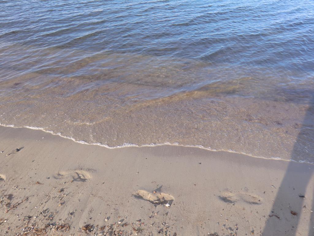 Boeltser Hus Ferienwohnungen Mit Strandkorb Und Kamin 10 Gehminuten Zum Kurtaxefreien Sandstrand Kraksdorf Екстер'єр фото